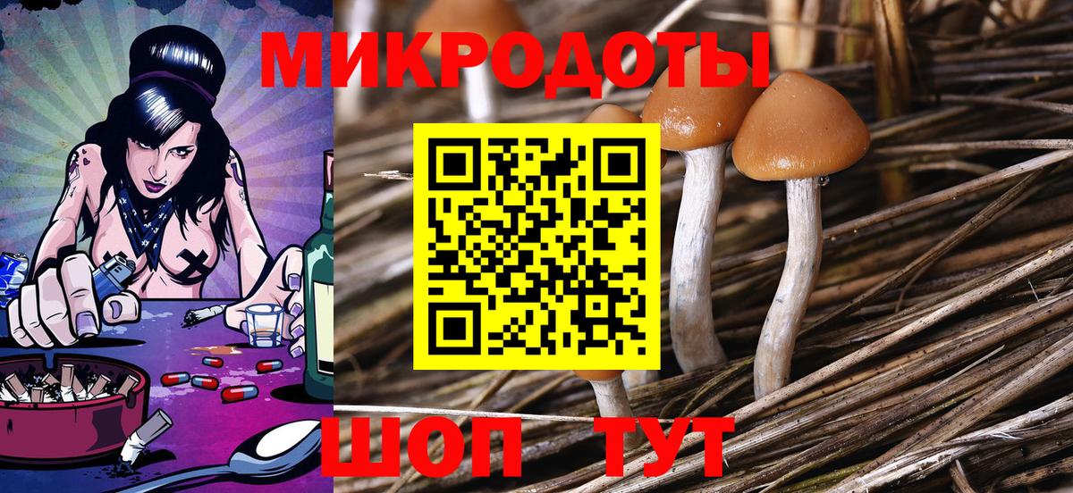 Качканар  Псилоцибиновые грибы Psilocybine cubensis  Вход с VPN 