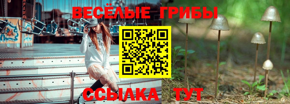 Галлюциногенные грибы ЛСД Качканар